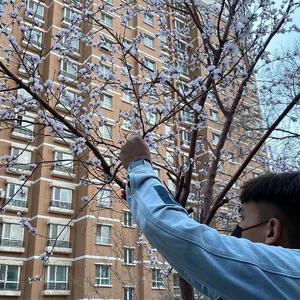 别告诉妈妈mama91
